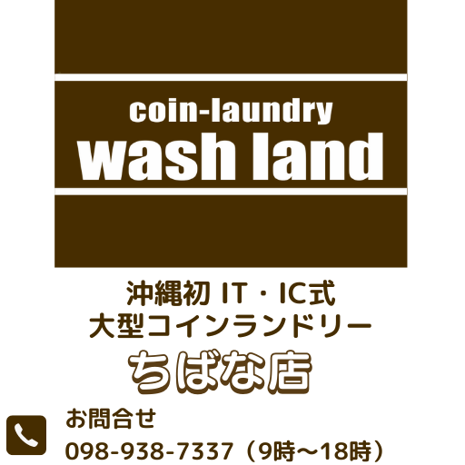 wash-land